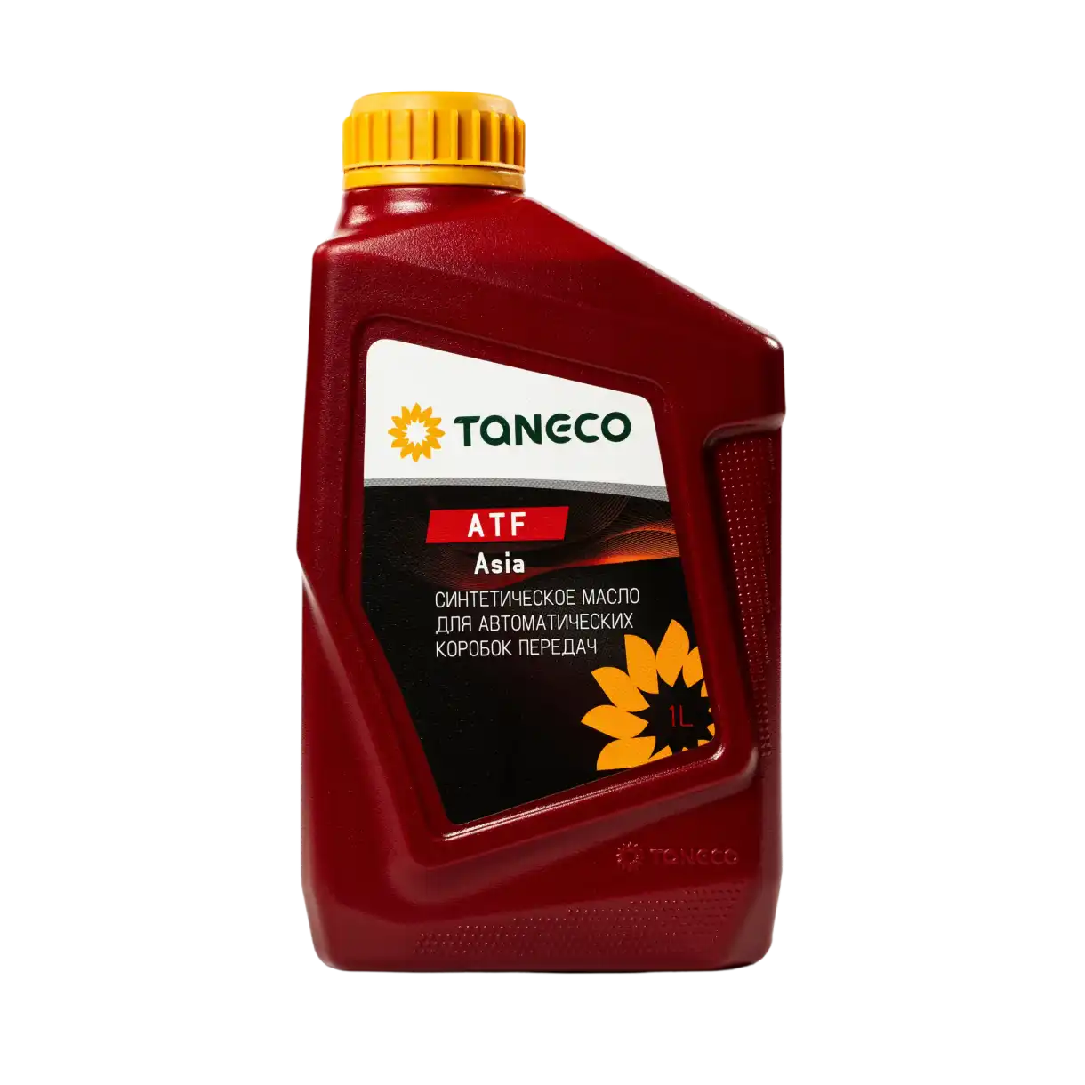 compressed_498.webp